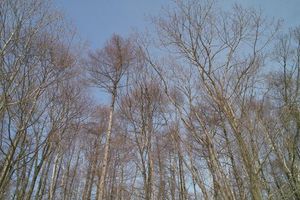 Dde75ba49dac3bf353387c6e29e83546