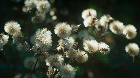 C2b1bdb3fc9717520b6c48ad01311e12