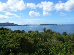 11d882e94fd3fd8910519c4d6d672146