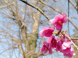 3807958d832eaefef3b2a637474a7376