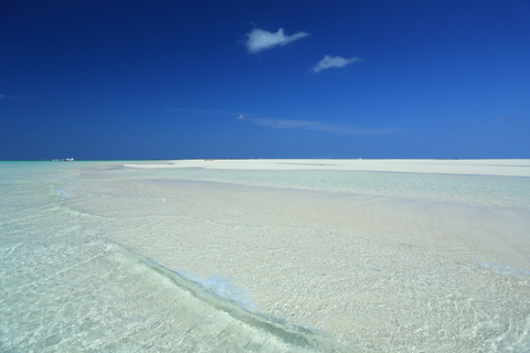 6dc61b74f39469a0b12c6ca45f809e60