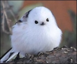 3411c9ce4d97b9aebdc09e51b09d441e