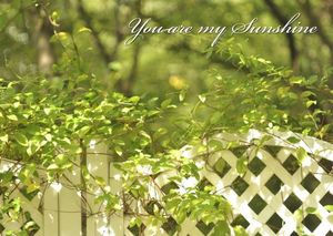 36cd84d19d0fffb0cf0c7c64293892e8