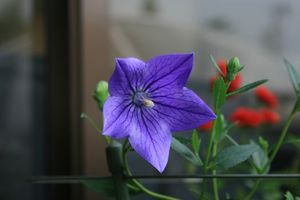 9db1b73c479010bbc99c58f4b80fb9df