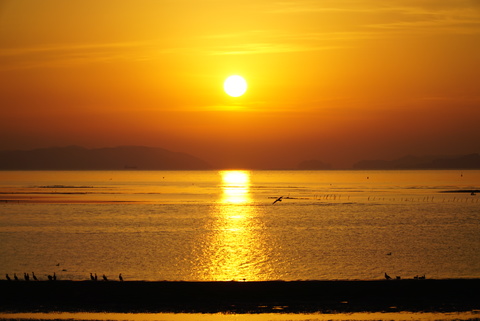 38ca820c4ac7f10e5fbece525698f2ea