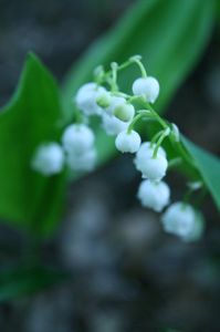 969737545254411bcb7e0da812a27144