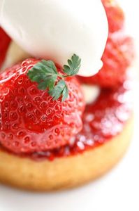 4cae21a7007705a29f1a881ca517a507