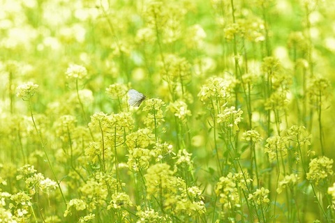 7d8b57edb35ee6e42416926bb2c0fb55