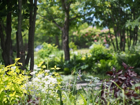 935d55b17051718a944d20008617b060