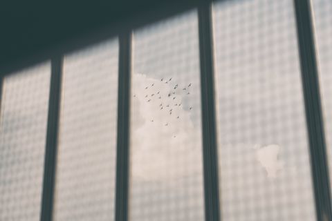 632e295298b6e793576ad255fe965dc4