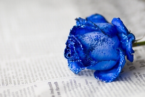 A4db96daee7b0797bf068bf205b751f0