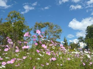 8ec85970f2c9c677fd3760635e0bcaef