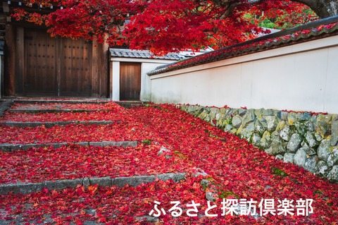 4fbb2e7d05821cbe2ed99e0649a11c7b