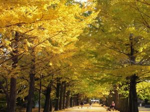 Dce3ffa07ac0d364ea7b95bf077eca10