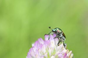 49897ef895a84c4e7e1528d95ce3458c