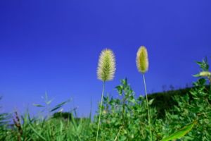 Ecf095a7aaa8fe7f2a73dfe0e45d3ee4