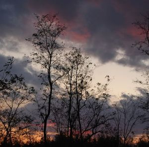 46329929f23b35c32a496814f6829531