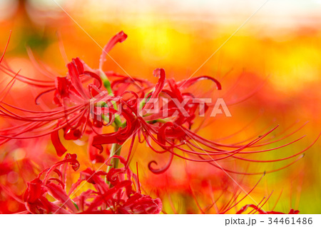 Cbaa28be00c1b84d91c1e5a7b90aaf75