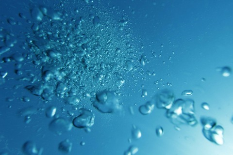 F21fc63a4371a27f9ed7018279866b0c