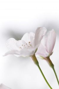 F4faa7ac7a467091958aba57eb8abad0